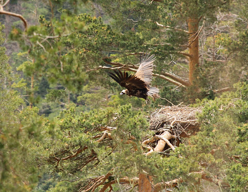 ׸���� ����